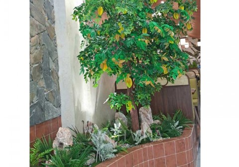 Mẫu tiểu cảnh cây giả tại 36 Vũ Phạm Hàm